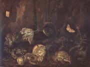 SCHRIECK, Otto Marseus van Still Life with Insects and Amphibians (mk14) painting